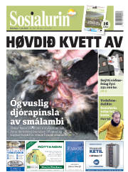 Síða 1