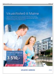 Síða 3