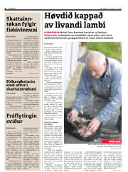 Síða 6
