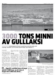 Síða 14