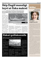 Síða 15