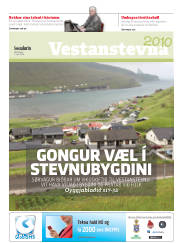 Síða 17