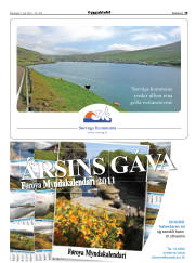 Síða 19