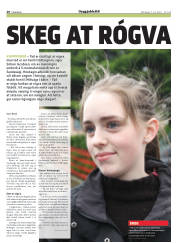 Síða 20