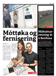 Síða 41