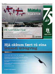 Síða 8