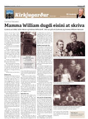 Síða 17