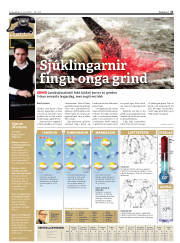 Síða 31