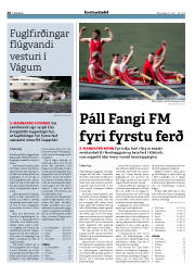 Síða 20