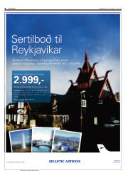 Síða 8