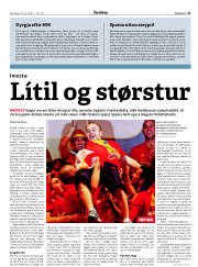 Síða 17
