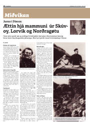 Síða 18