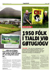 Síða 29