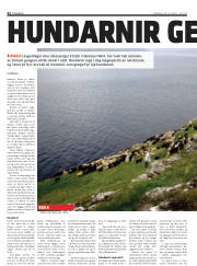 Síða 42