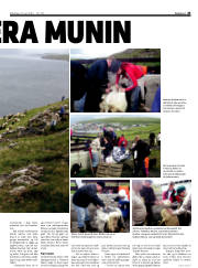 Síða 43