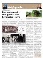 Síða 17