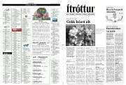 Síða 11