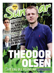 Síða 1