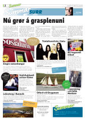 Síða 2