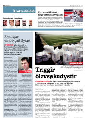 Síða 22