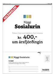 Síða 41