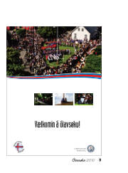 Síða 3