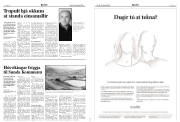 Síða 4