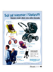 Síða 43