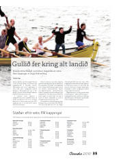 Síða 35