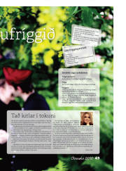 Síða 49