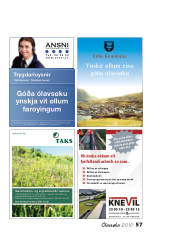 Síða 57