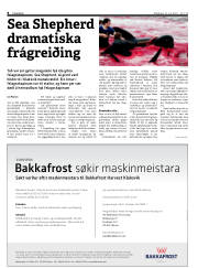 Síða 8