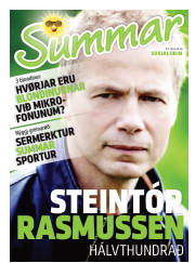 Síða 17