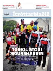 Síða 15