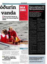 Síða 19