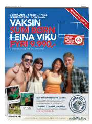 Síða 3