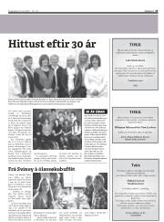 Síða 13