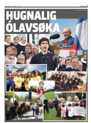 Síða 17