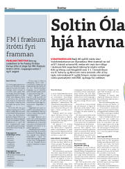 Síða 20
