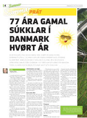 Síða 4