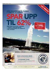 Síða 3