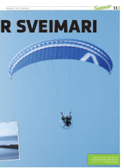 Síða 11
