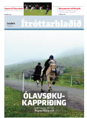 Síða 13