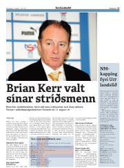 Síða 17