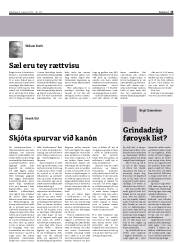 Síða 13