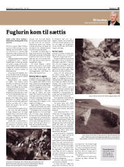 Síða 33