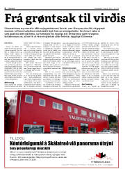 Síða 8