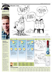 Síða 44
