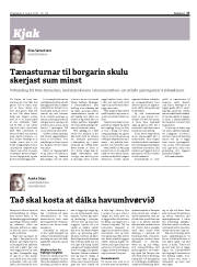 Síða 17