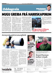 Síða 2